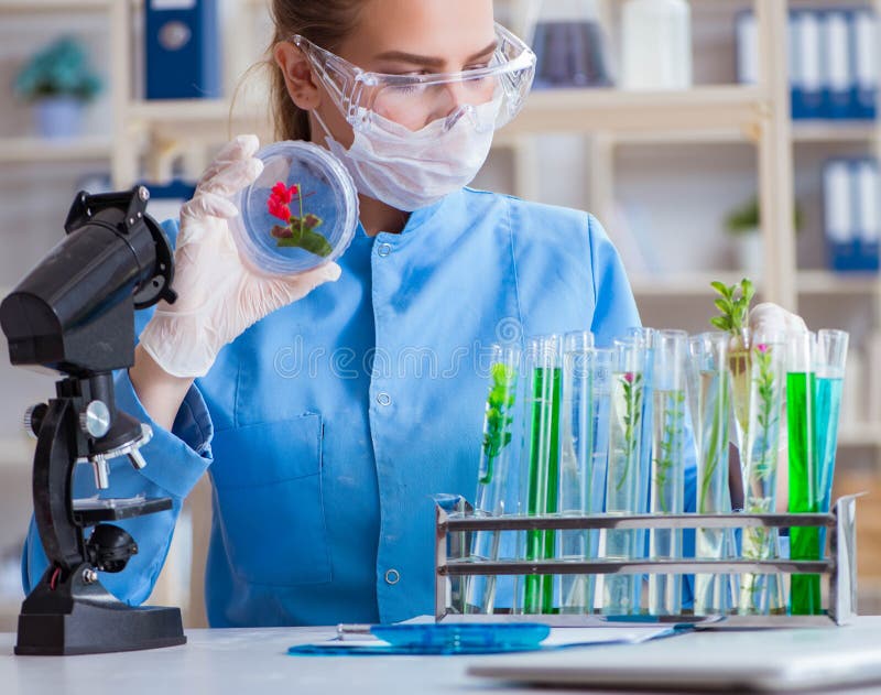 Ricercatrice di scienze femmine che conduce un esperimento in un labora fotografia stock