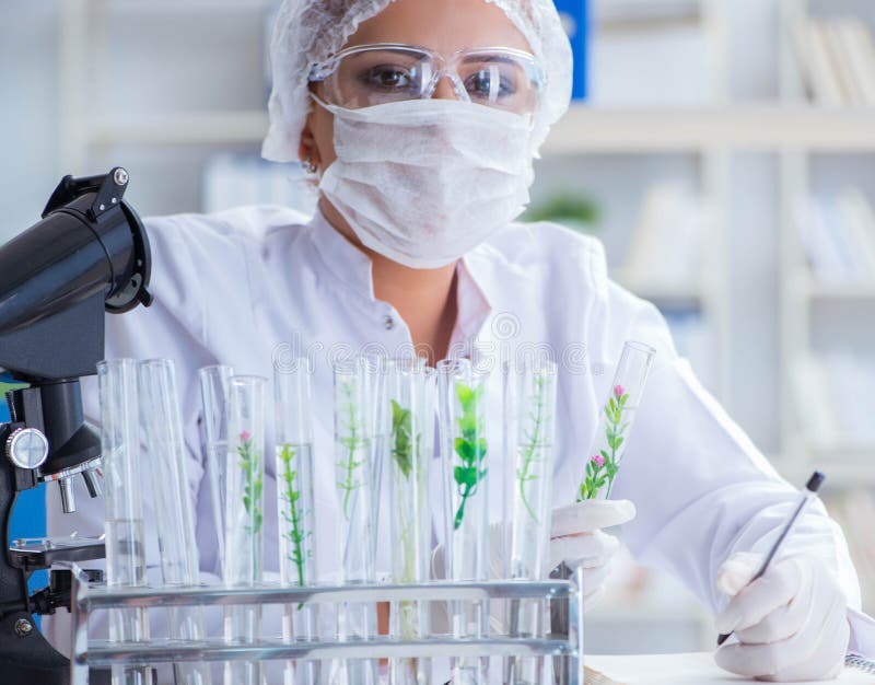 Ricercatrice di scienze femmine che conduce un esperimento in un labora fotografia stock