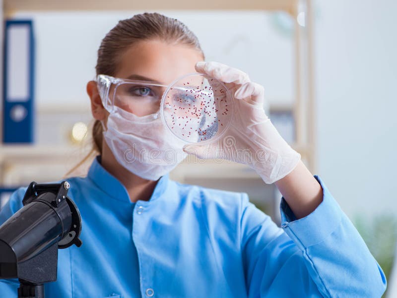 Ricercatrice di scienze femmine che conduce un esperimento in un labora immagine stock libera da diritti