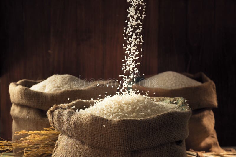 Ricewhite fotografering för bildbyråer