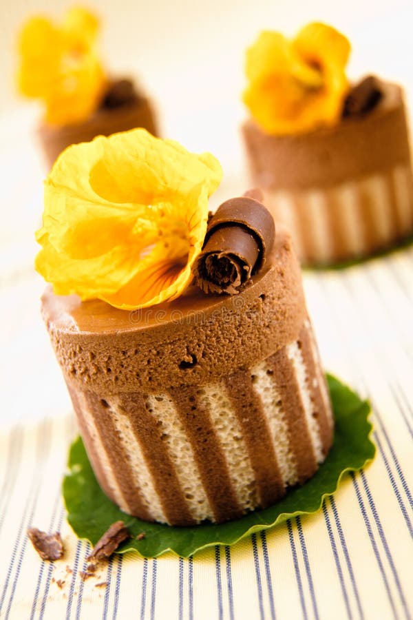 Rich Gourmet Chocolate Desserts Stock Photo Image of curls, cress