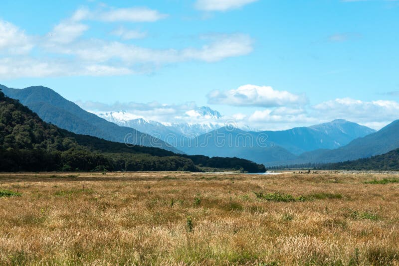 In Richtung zum Berg-Koch von den angenehmen Ebenen, Haast, Neuseeland lizenzfreies stockbild In Richtung zum Berg-Koch von den angenehmen Ebenen, Haast, Neuseeland lizenzfreies stockbild