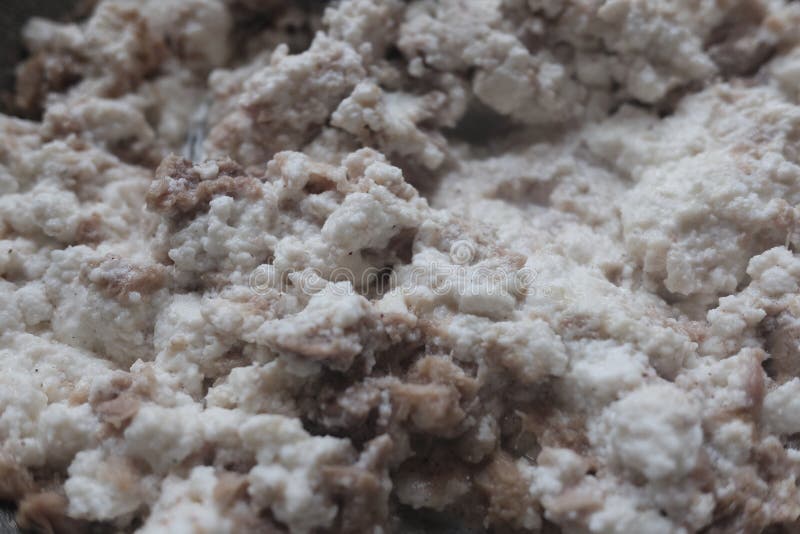 Ricotta cheese and tuna stock photo. Image of fresh 110637050