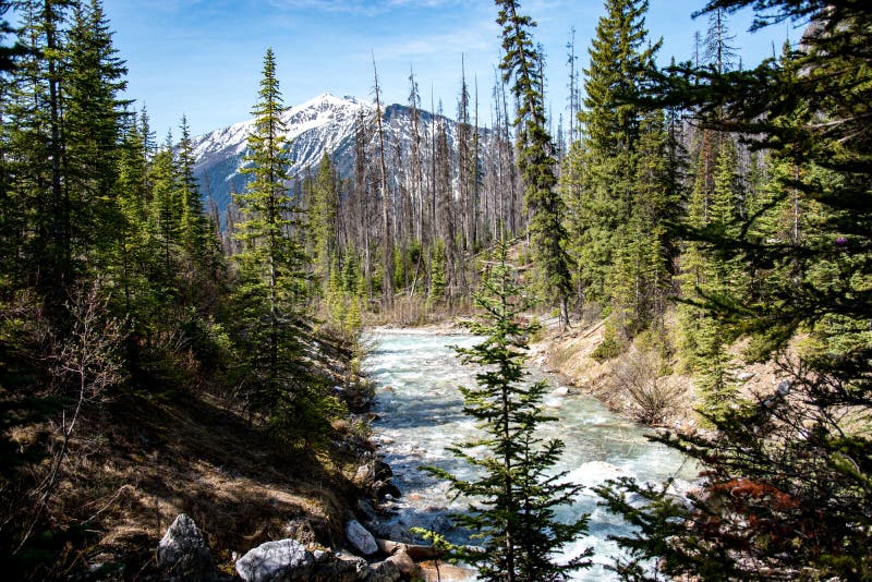 River in yoho national park