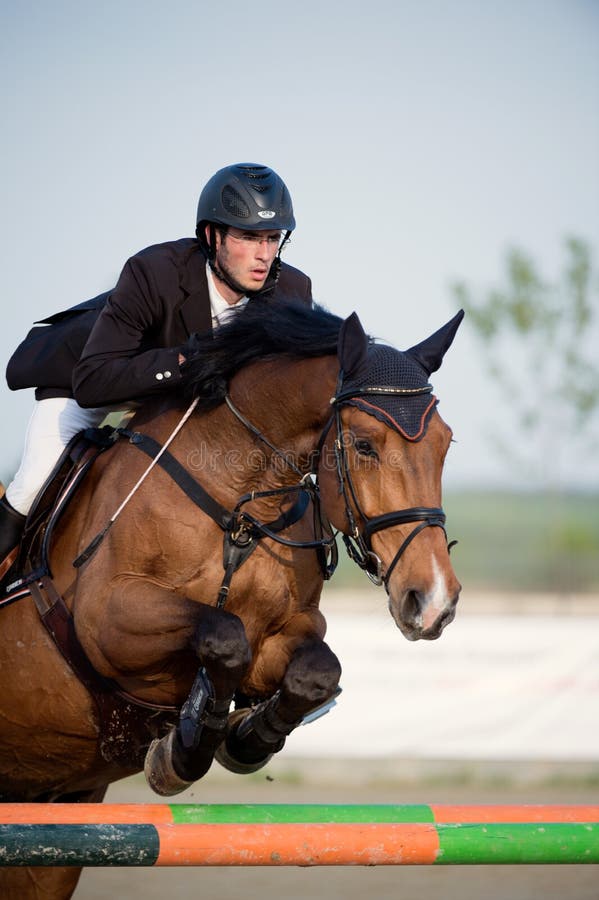 Rid- häst Rider Jumping Föreställa uppvisning av en konkurrent som utför i konkurrens för showbanhoppning arkivfoto Rid- häst Rider Jumping Föreställa uppvisning av en konkurrent som utför i konkurrens för showbanhoppning arkivfoto