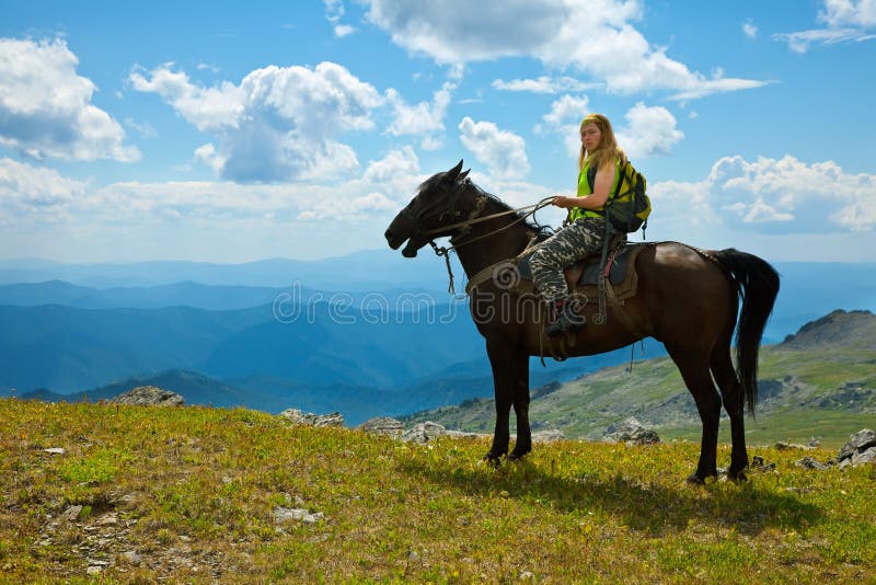 ridding för häst arkivbild ridding för häst arkivbild