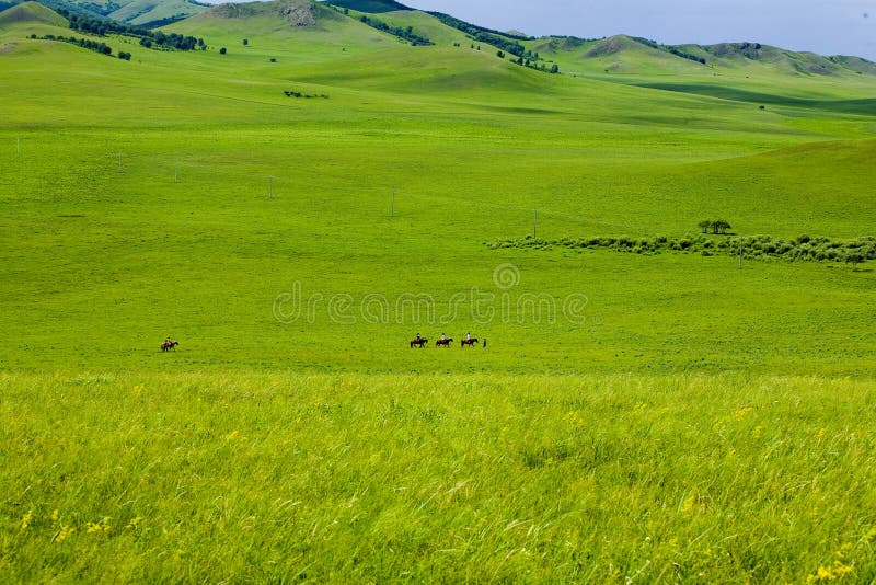 Ride on the broad grassland