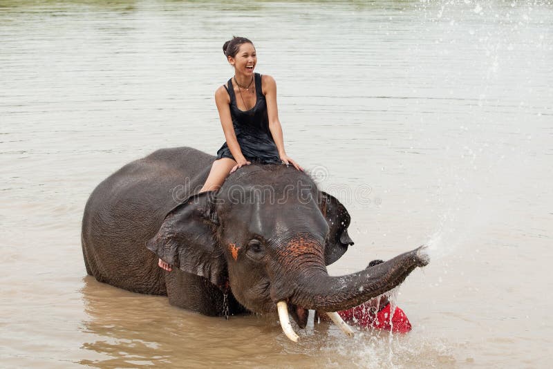 Ride an elephant