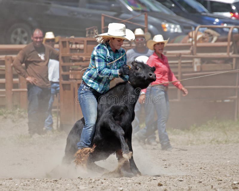 Ride-em Cowgirl! royalty free stock photos Ride-em Cowgirl! royalty free stock photos