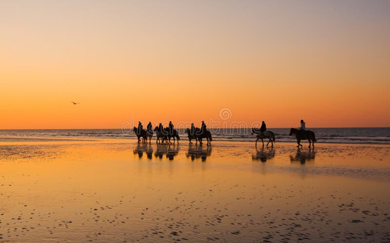 Ride at sunset img