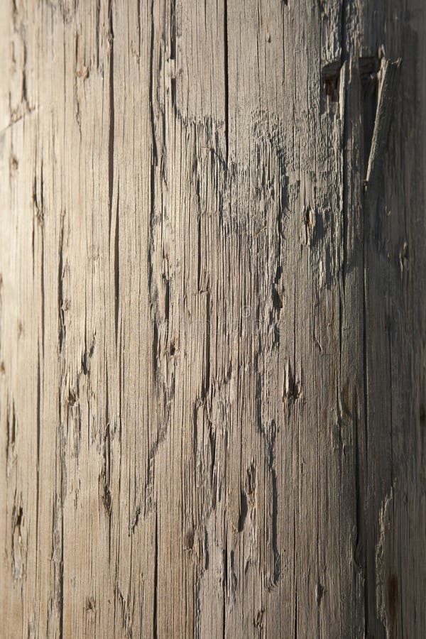 Closeup of the weathered surface on a wooden telephone pole. Vertical shot. Closeup of the weathered surface on a wooden telephone pole. Vertical shot.