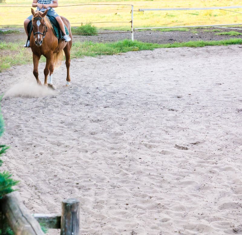 Horseback riding sand, rider on a brown horse during the day, free space, place,