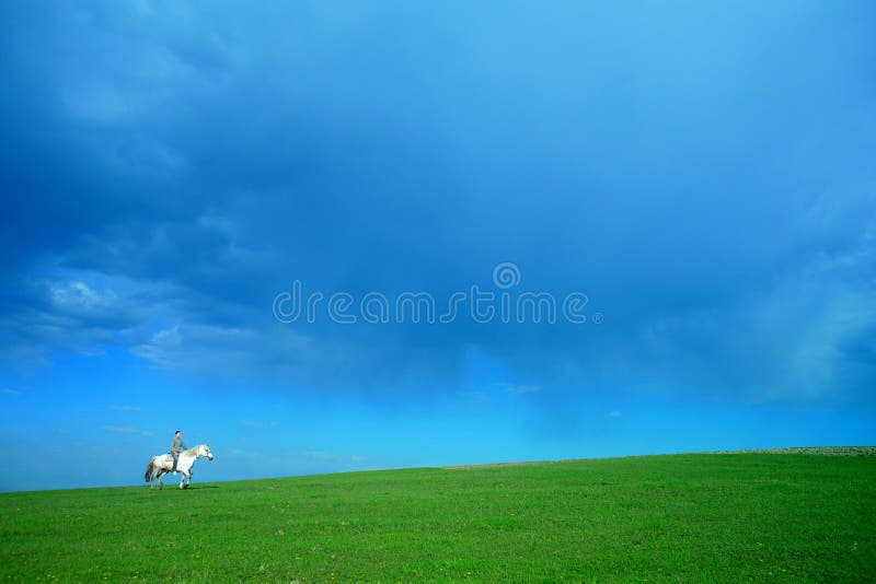 Rider on white horse