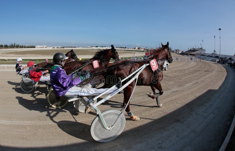 Racing Sulky Used In Harness Racing Without The Horse Stock Photo, Picture  and Royalty Free Image. Image 77450544.