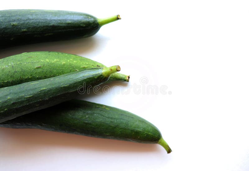 Ridge Gourd Green Vegetable Stock Image Image of green, cooking