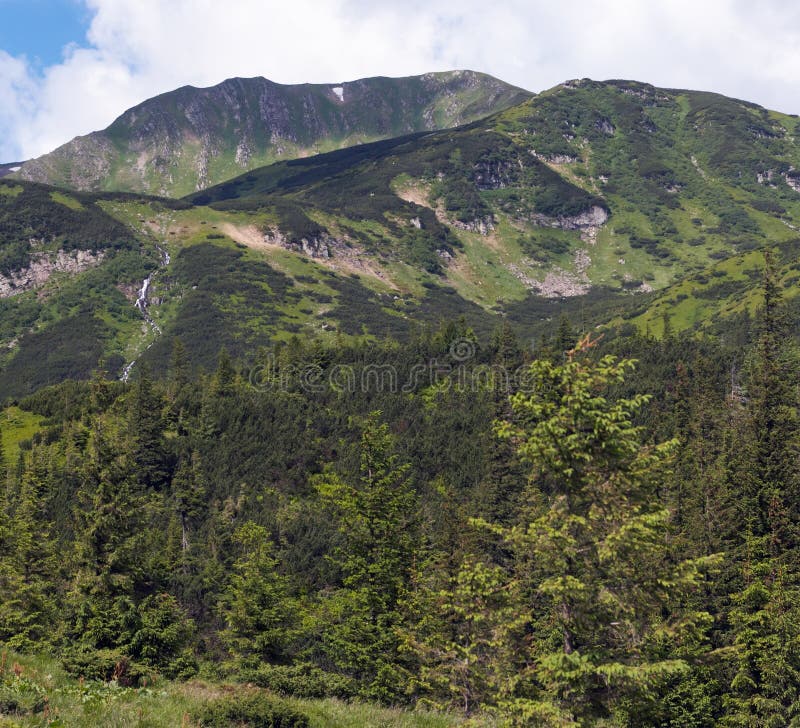 Mountain view with juniper forest and waterfall cascade and snow remains in distance. Two shots stitch image. Mountain view with juniper forest and waterfall cascade and snow remains in distance. Two shots stitch image.