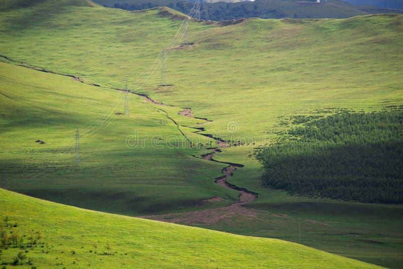 Ridge on Pasture with Grass Stock Image - Image of spurt, green: 125884419