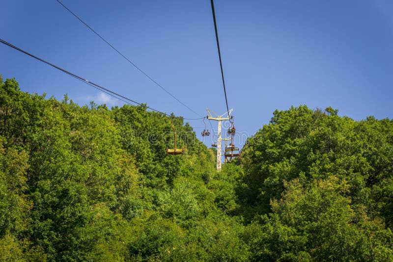 Riding the Chair Lift through the Forest of the High of `the Old