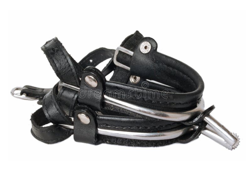 Riding Dressage Spurs in Case Isolated on White. Stock Photo Image of riding, case 45481682