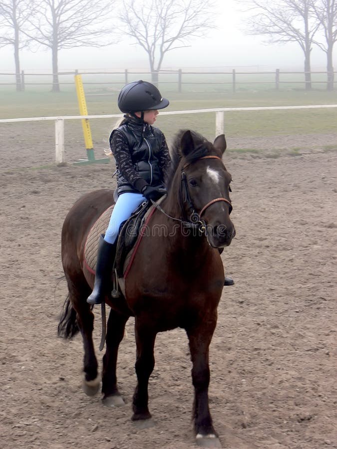 Young girl riding on horse in the paddock. Horse school in the fog. Young girl riding on horse in the paddock. Horse school in the fog.