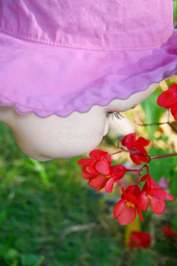 Riechen der Blumen lizenzfreie stockfotos Riechen der Blumen lizenzfreie stockfotos