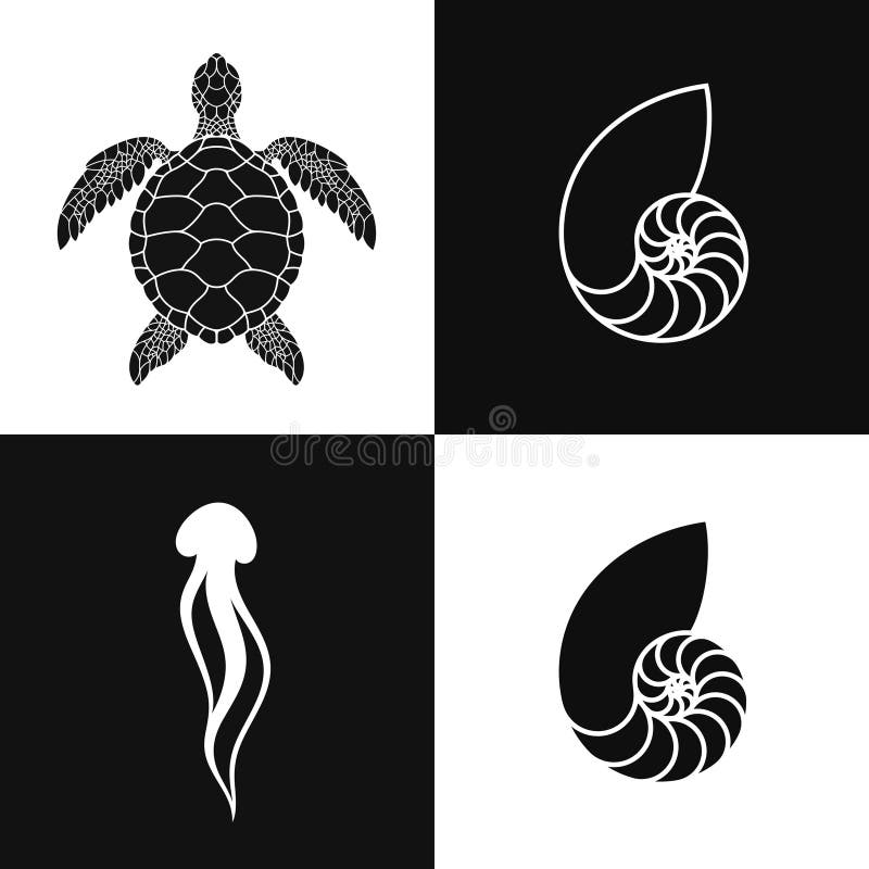 Rife vector. Isolated jellyfish sea turtle and nautilus shell. Vector illustration vector illustration