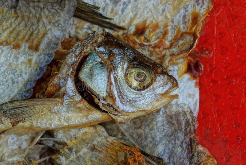 Rifiuti da un mucchio dei pezzi di pesce dalle ossa e dalle teste fotografia stock libera da diritti Rifiuti da un mucchio dei pezzi di pesce dalle ossa e dalle teste fotografia stock libera da diritti