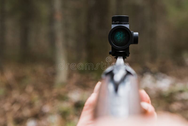 Rifle de la caza con vista del colimador