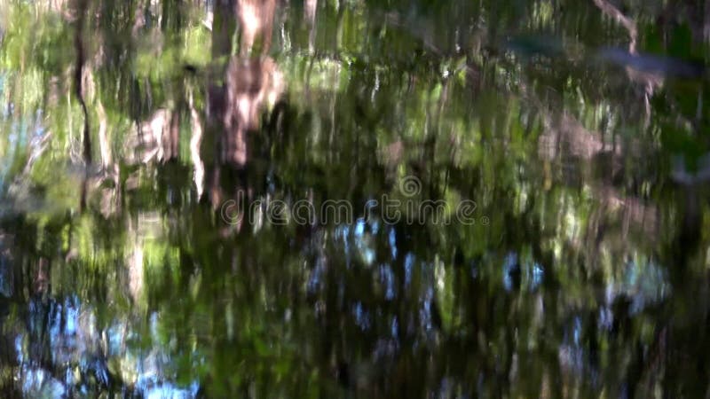 Riflessione astratta della superficie dell'acqua in parco