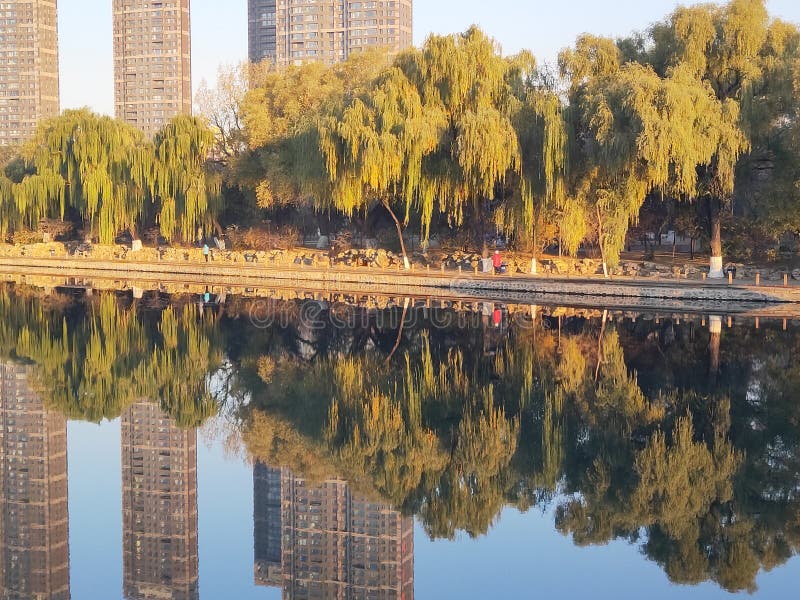 Riflessione degli alberi nel lago immagine stock libera da diritti Riflessione degli alberi nel lago immagine stock libera da diritti