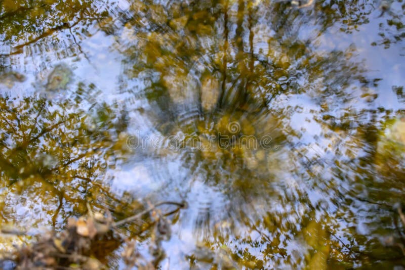 Riflessione degli alberi nell'acqua di una corrente con i cerchi sferici dalle gocce di pioggia di caduta fotografie stock Riflessione degli alberi nell'acqua di una corrente con i cerchi sferici dalle gocce di pioggia di caduta fotografie stock