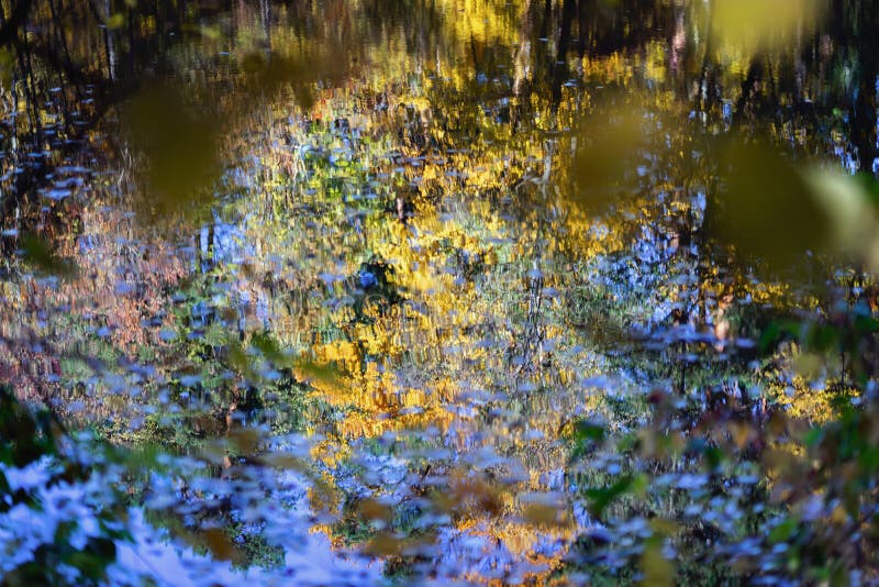 Riflessione del cielo variopinto di Ana degli alberi in acqua Foglie variopinte, colori luminosi di autunno, superficie dell'acqu fotografia stock Riflessione del cielo variopinto di Ana degli alberi in acqua Foglie variopinte, colori luminosi di autunno, superficie dell'acqu fotografia stock