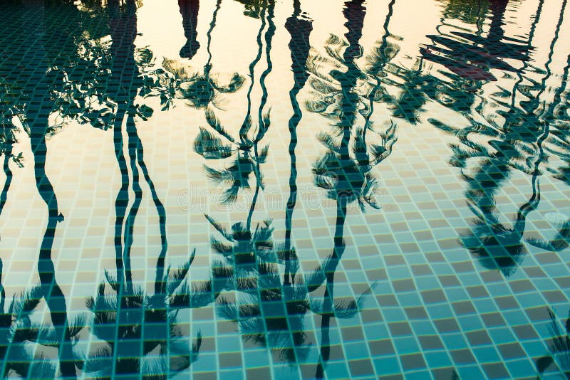 Riflessione tropicale delle palme nello stagno di acqua l'asia immagini stock Riflessione tropicale delle palme nello stagno di acqua l'asia immagini stock