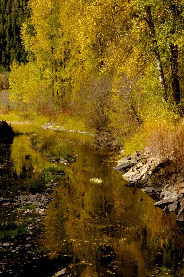 Riflessioni di Rock Creek fotografie stock libere da diritti Riflessioni di Rock Creek fotografie stock libere da diritti