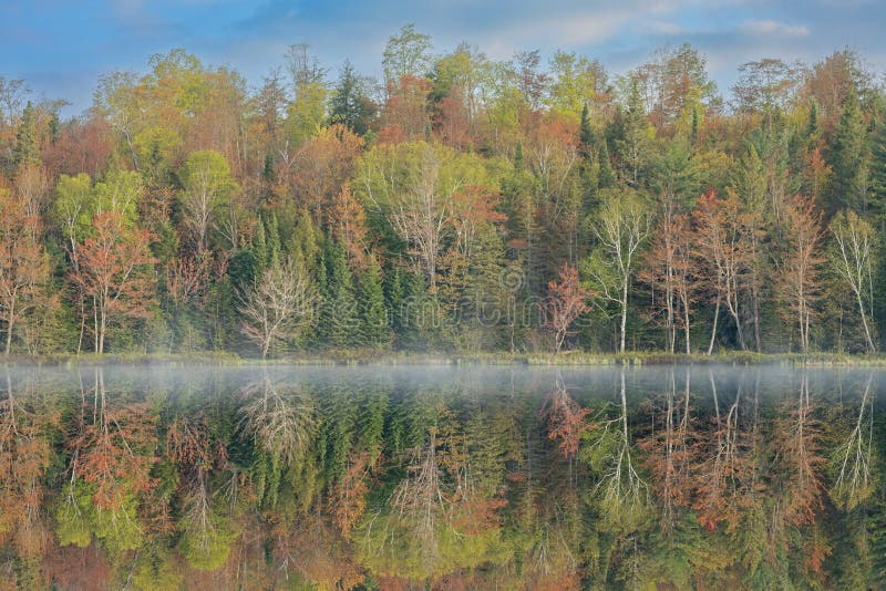 Foggy spring landscape at sunrise of the shoreline of Doe Lake with mirrored reflections in calm water, Hiawatha National Forest, Michigan’s Upper Peninsula, USA. Foggy spring landscape at sunrise of the shoreline of Doe Lake with mirrored reflections in calm water, Hiawatha National Forest, Michigan’s Upper Peninsula, USA