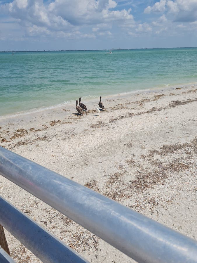 Riflesso dell’acqua e del ponte fotografia stock libera da diritti