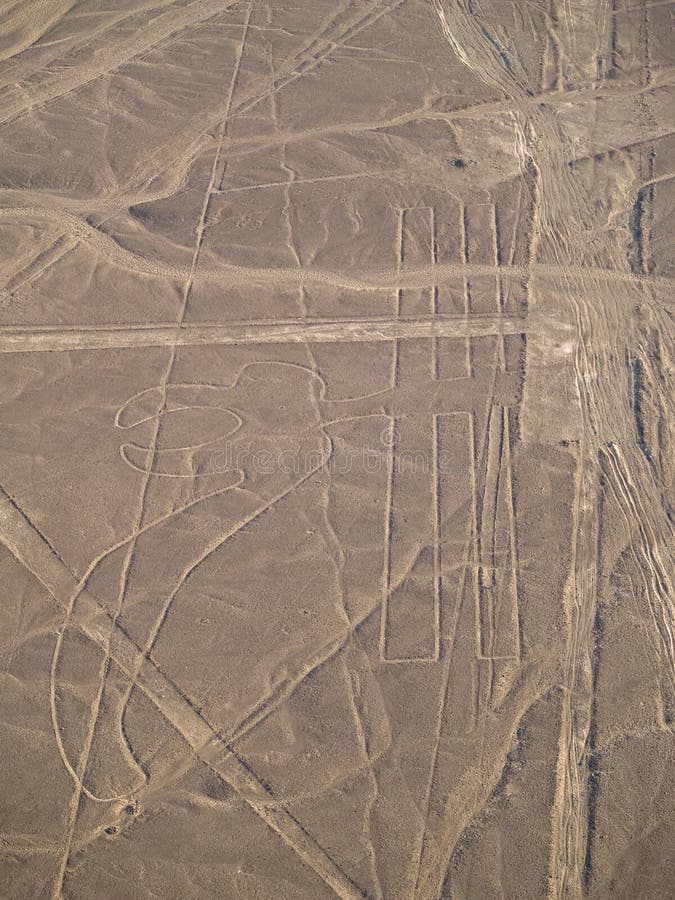 Righe di Nazca