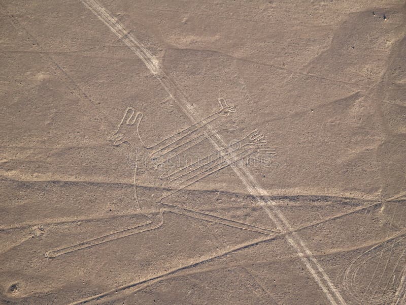Righe di Nazca
