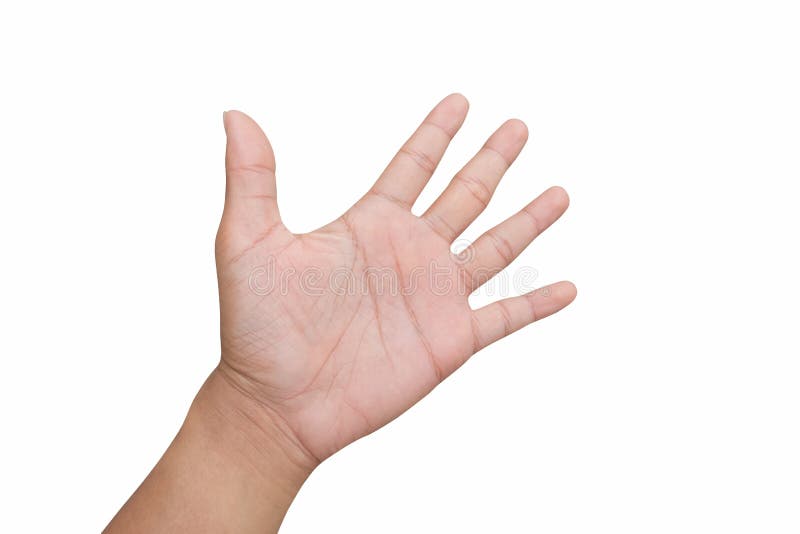 Right back hand of a man trying to reach or grab something. fling, touch sign. Reaching out to the left. isolated on white. Background royalty free stock photography Right back hand of a man trying to reach or grab something. fling, touch sign. Reaching out to the left. isolated on white. Background royalty free stock photography