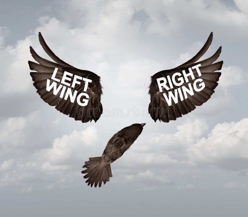 Right And Left Wing Political Problem vector illustration