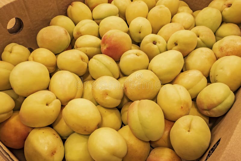 Rijpe abrikozen op een markt