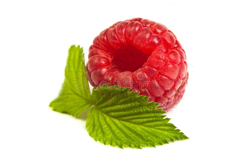 Rijpe rasberry met groen die blad over wit wordt geïsoleerd. Sluit omhoog macr stock foto Rijpe rasberry met groen die blad over wit wordt geïsoleerd. Sluit omhoog macr stock foto