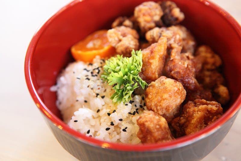 Rijst met gebraden kip royalty-vrije stock foto