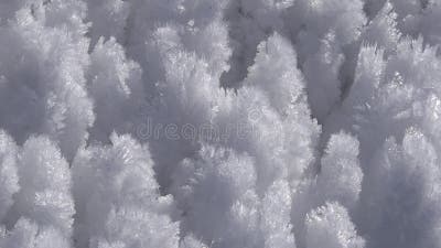 Rime Ice Crystals and Hoar Frost Covered on Ground in Sunny Winter Day,  Nature Stock Footage ft. floor & frozen - Envato Elements