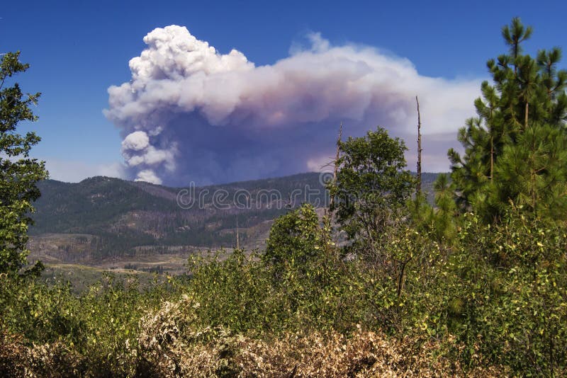 253 Rimfire Stock Photos Free & RoyaltyFree Stock Photos from Dreamstime