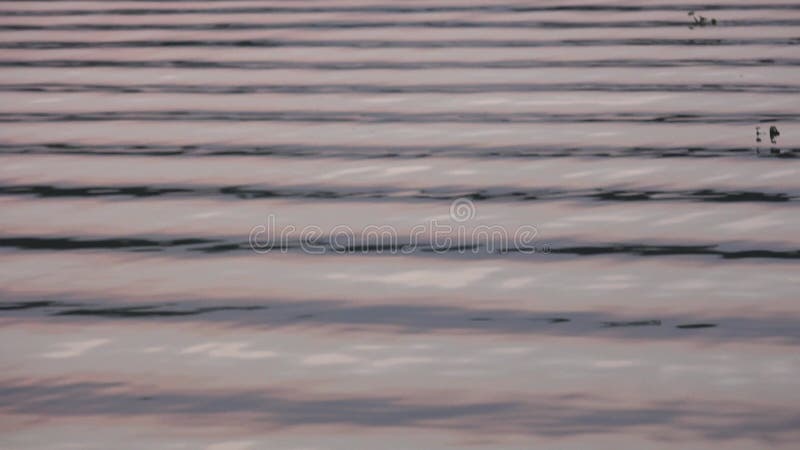 Rimpels en reflecties op water in het avondzonlicht.