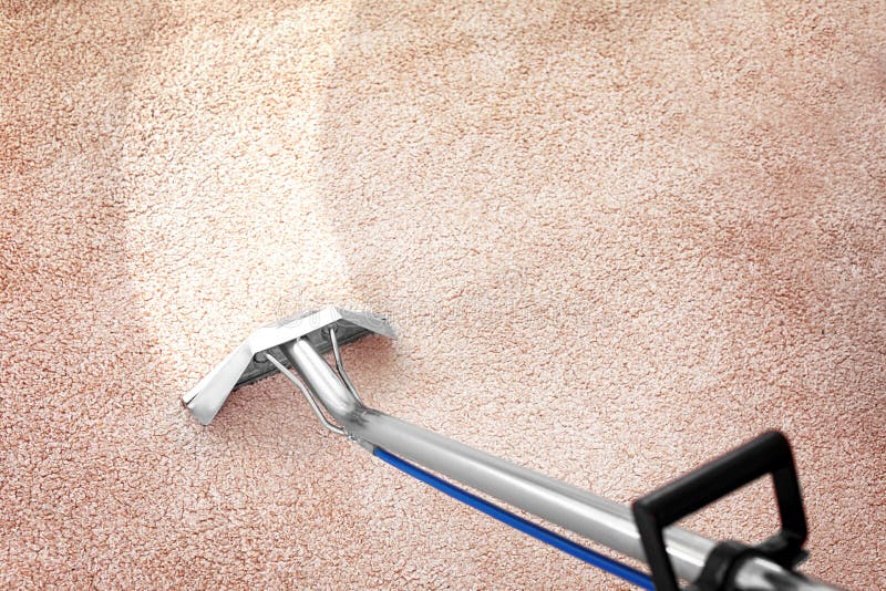 Rimuovendo sporcizia dal tappeto con il pulitore professionale all'interno