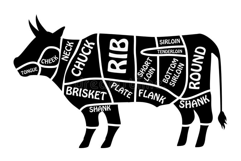 Rindfleischdiagramm Plakat-Metzgerdiagramm für Lebensmittelgeschäfte, Fleischspeicher, Metzgerei Segmentierter Kuhschattenbildvek