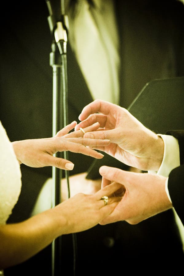 Rings royalty free stock photos