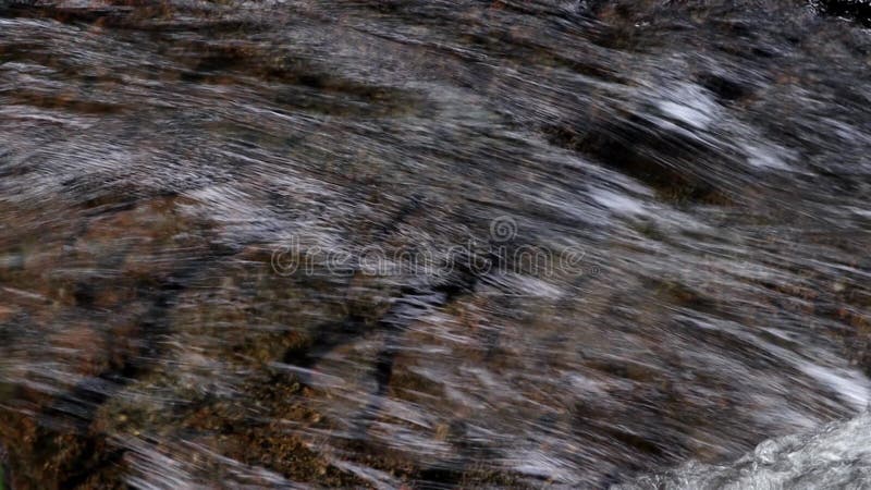 Rio da montanha silvestre fecha riacho. tiro estático detalhado do riacho que corre sobre a pedra